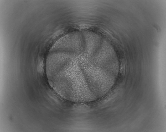 X0000113270866200910011426