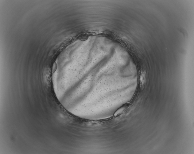 X0000113270867200910011426