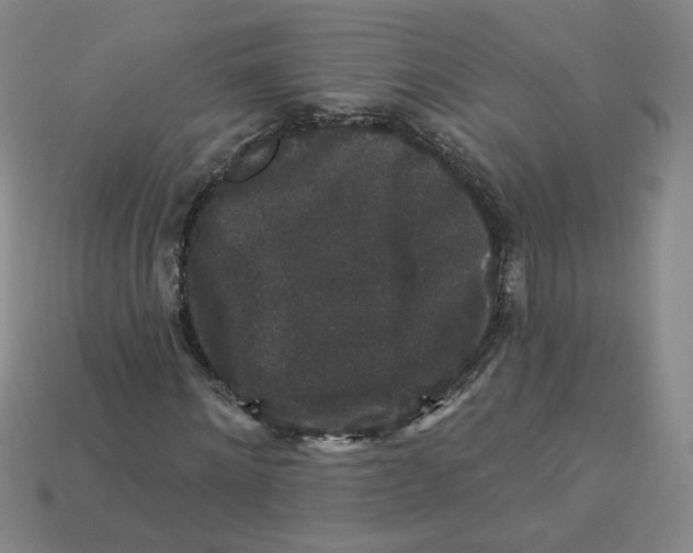 X0000113270868200910011426