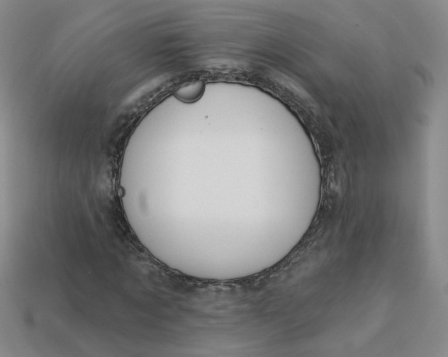 X0000113270869200910011426