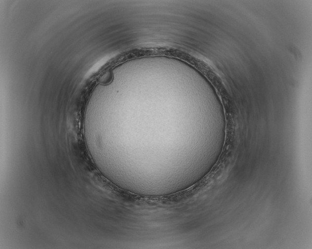 X0000113270871200910011426