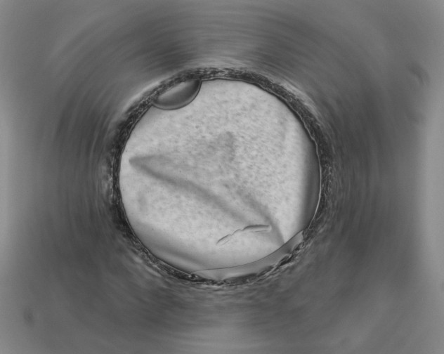 X0000113270872200910011426