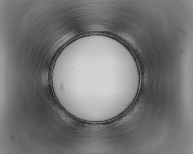 X0000113270873200910011426