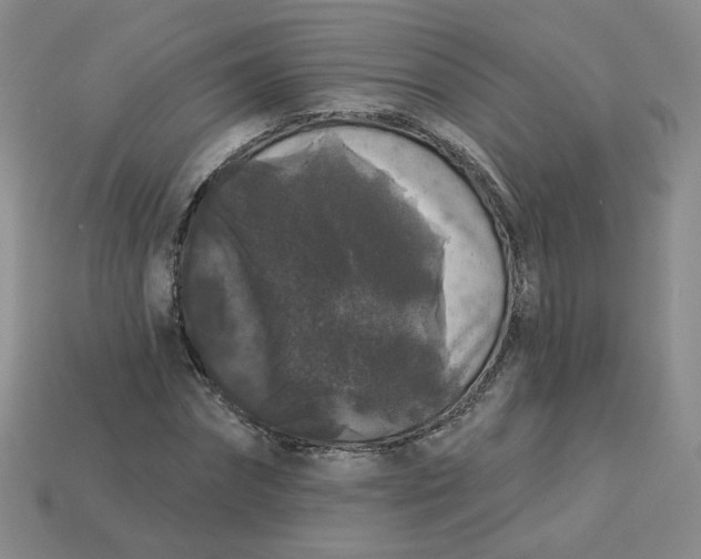 X0000113270874200910011426