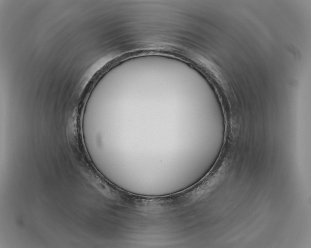 X0000113270875200910011426