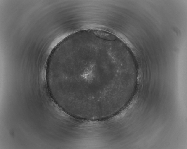 X0000113270877200910011425