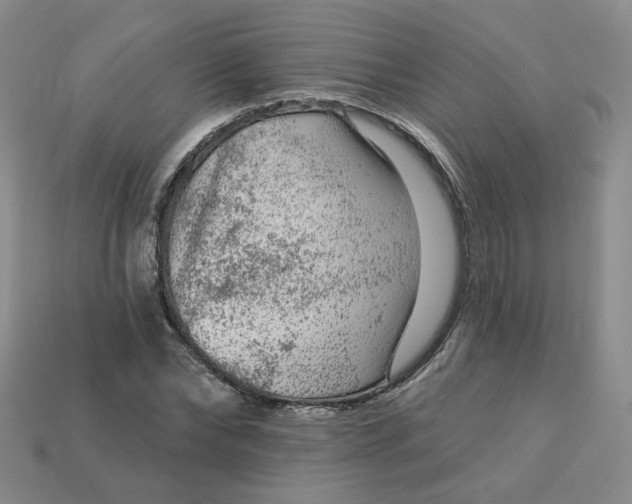 X0000113270878200910011425