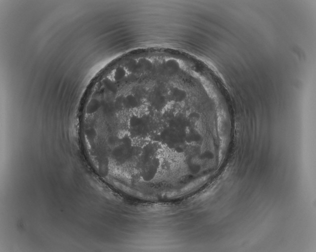 X0000113270879200910011425