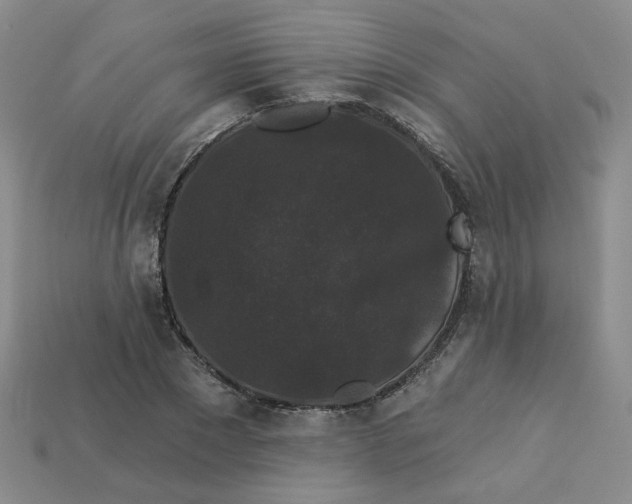 X0000113270881200910011425