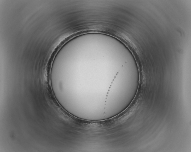 X0000113270883200910011425