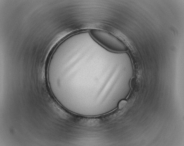 X0000113270884200910011425