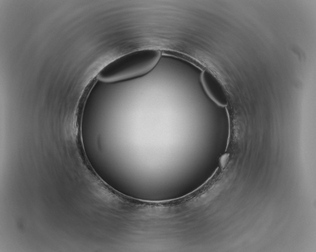 X0000113270885200910011425