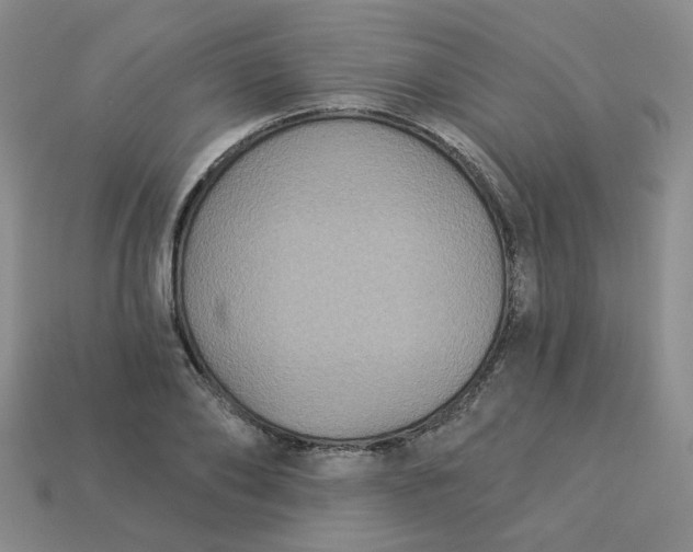 X0000113270886200910011425