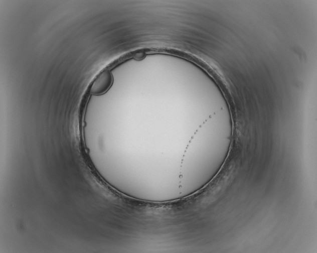 X0000113270887200910011425