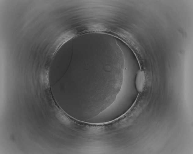 X0000113270889200910011425