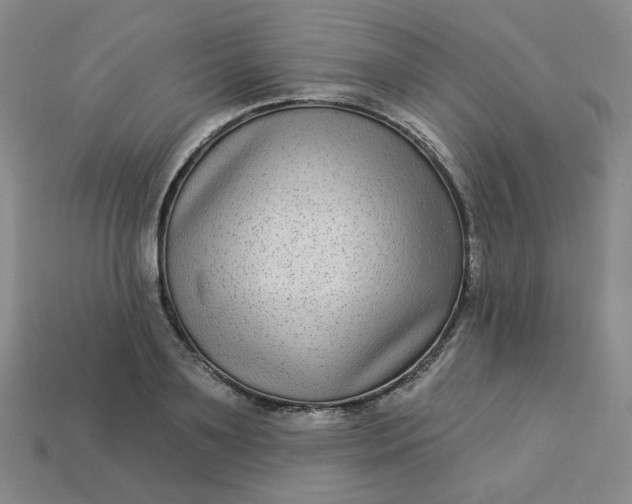 X0000113270891200910011425