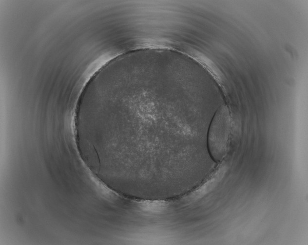 X0000113270893200910011425