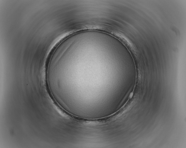 X0000113270894200910011425