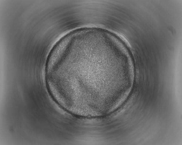 X0000113270895200910011425