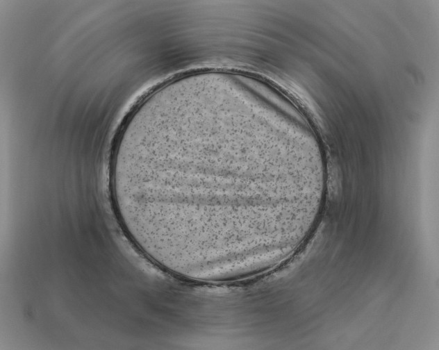 X0000113270896200910011425