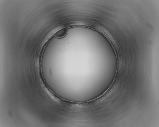 X0000113270898200910011425