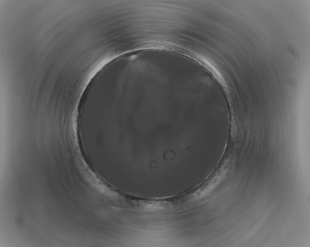 X0000113270899200910011425