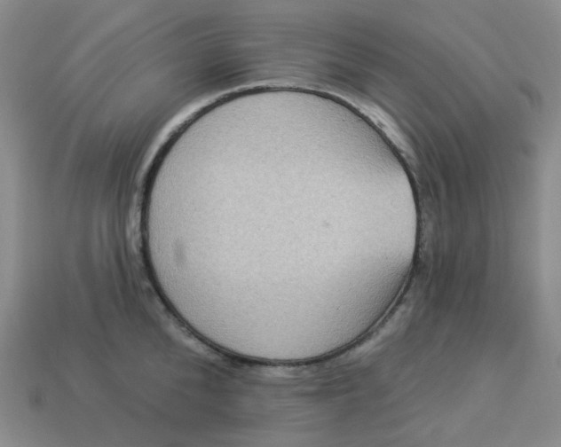 X0000113270904200910011425