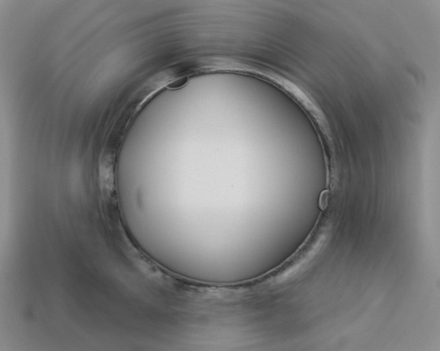 X0000113270905200910011425