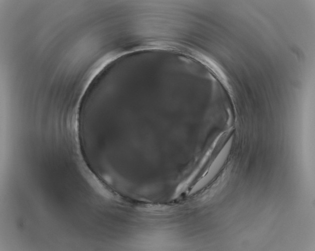 X0000113270907200910011425