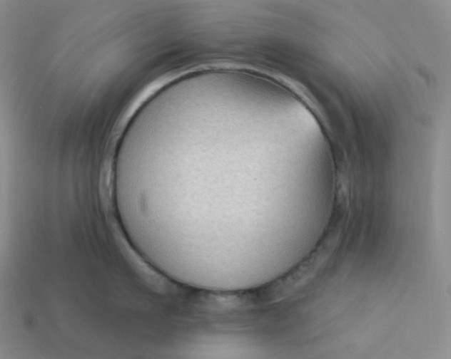 X0000113270911200910011425