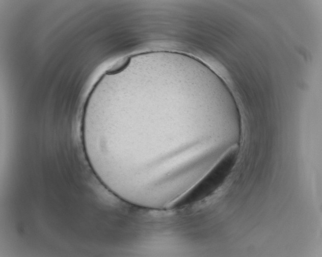 X0000113270912200910011425