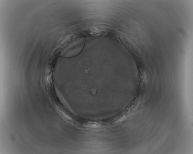 X0000113270914200910011424