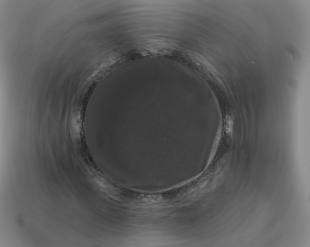 X0000113270915200910011424