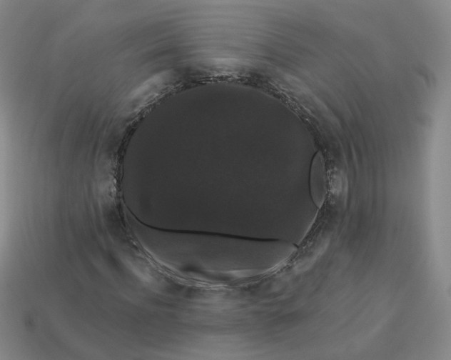 X0000113270916200910011424