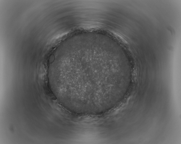 X0000113270917200910011424