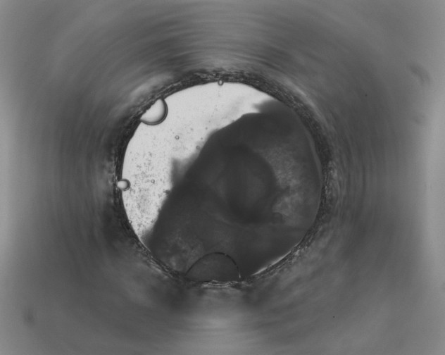 X0000113270918200910011424