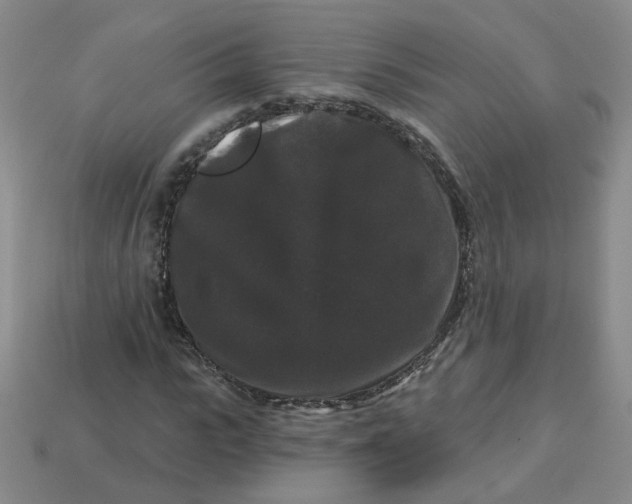 X0000113270919200910011425