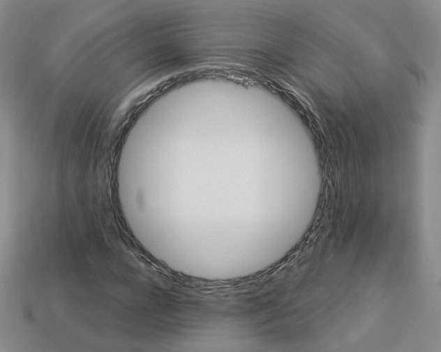 X0000113270920200910011425