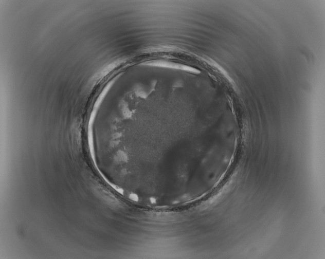 X0000113270921200910011425