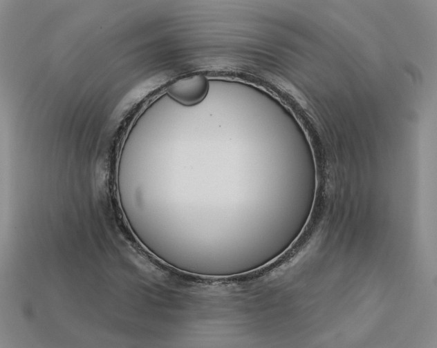 X0000113270922200910011425