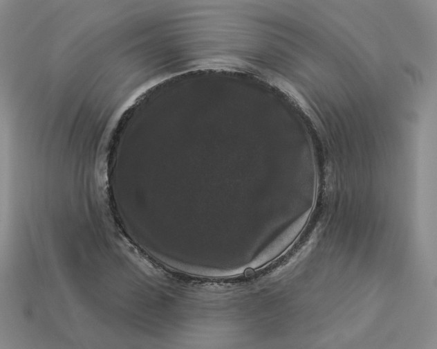 X0000113270923200910011425