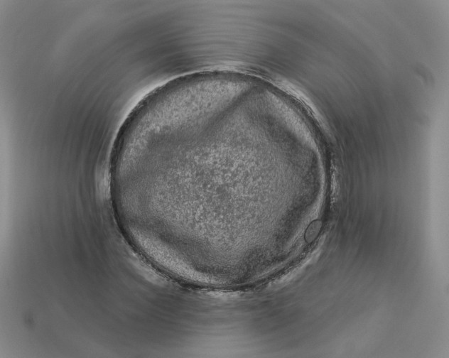 X0000113270924200910011425