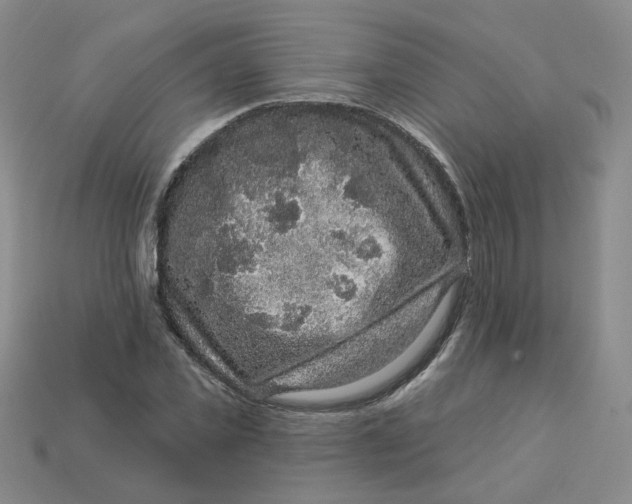 X0000113270925200910011425