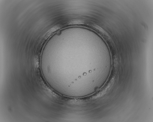 X0000113270929200910011425