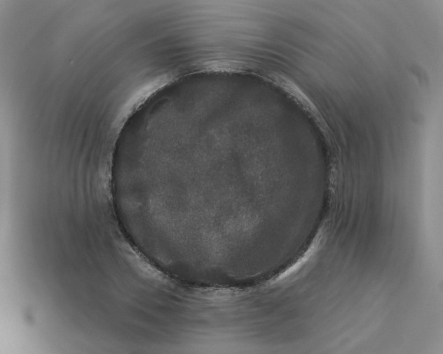 X0000113270930200910011425