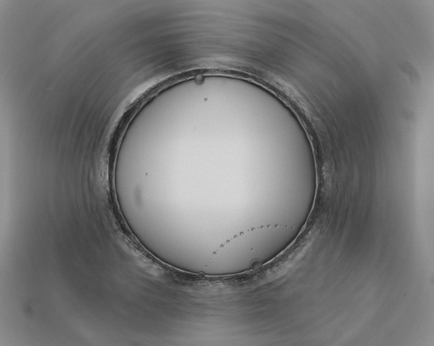 X0000113270931200910011425