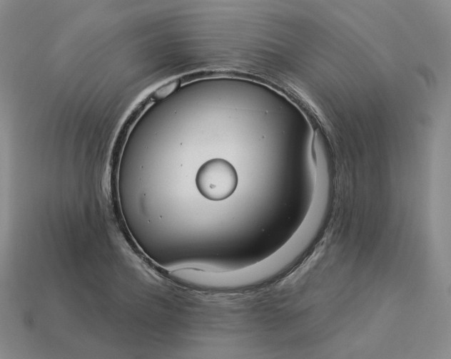 X0000113270932200910011425