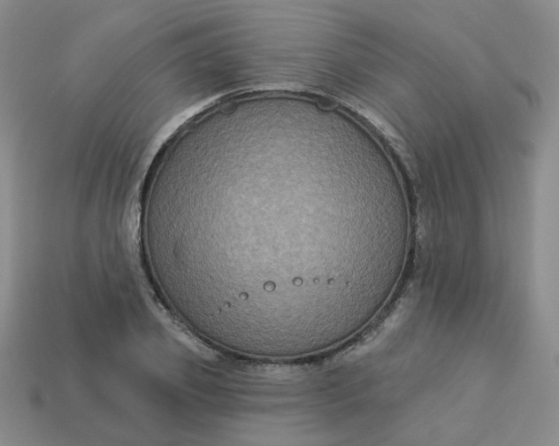 X0000113270933200910011425