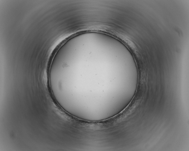 X0000113270936200910011425