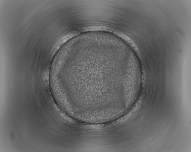 X0000113270937200910011425